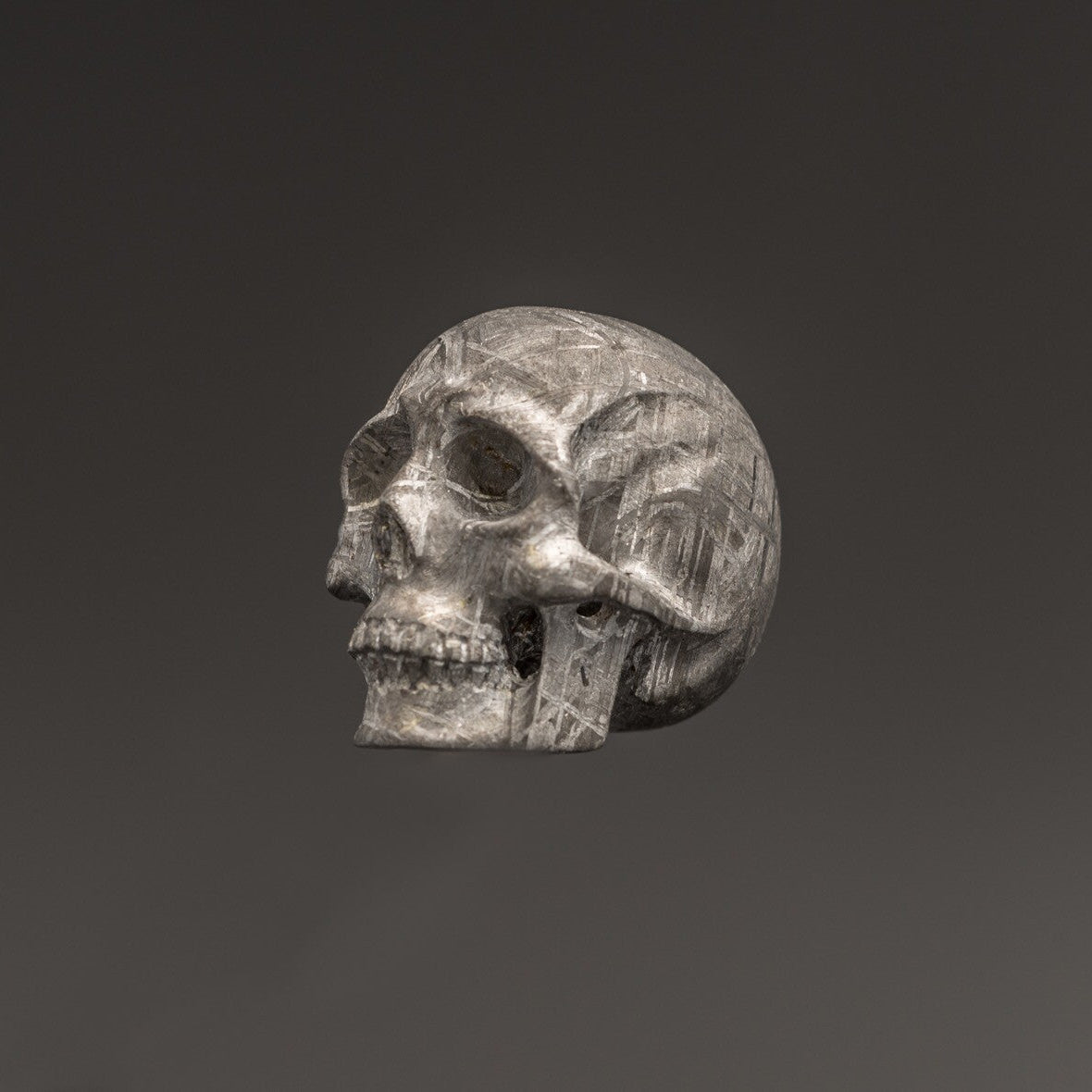 AMAZING Meteorite Skull 87g